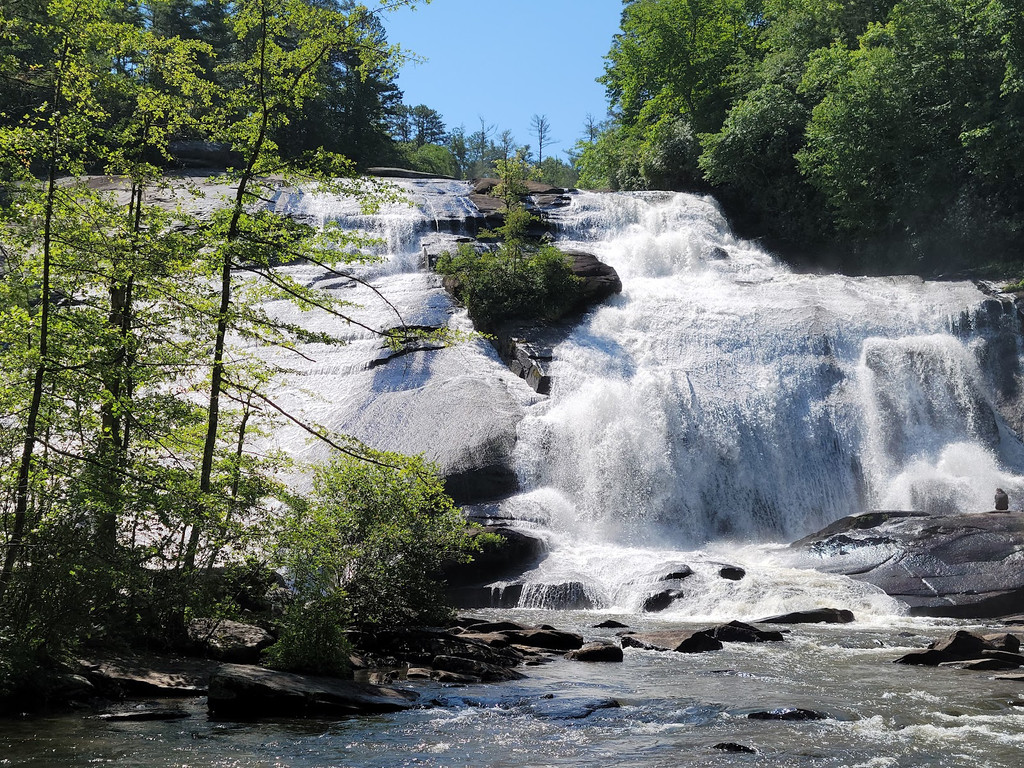 Image of DuPont State Recreational Forest on Seeker