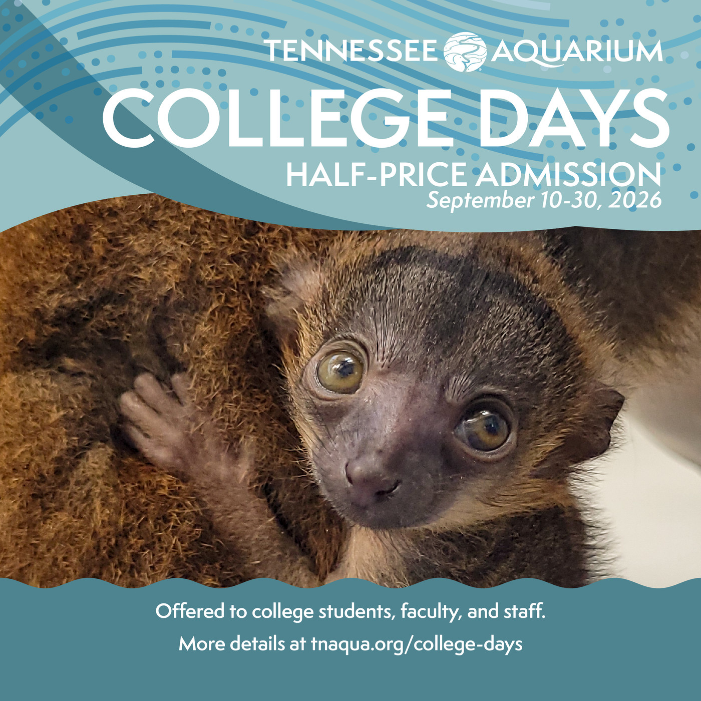 College Days