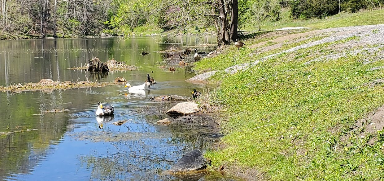 Clinch River State Park (Map, Images and Tips) Seeker