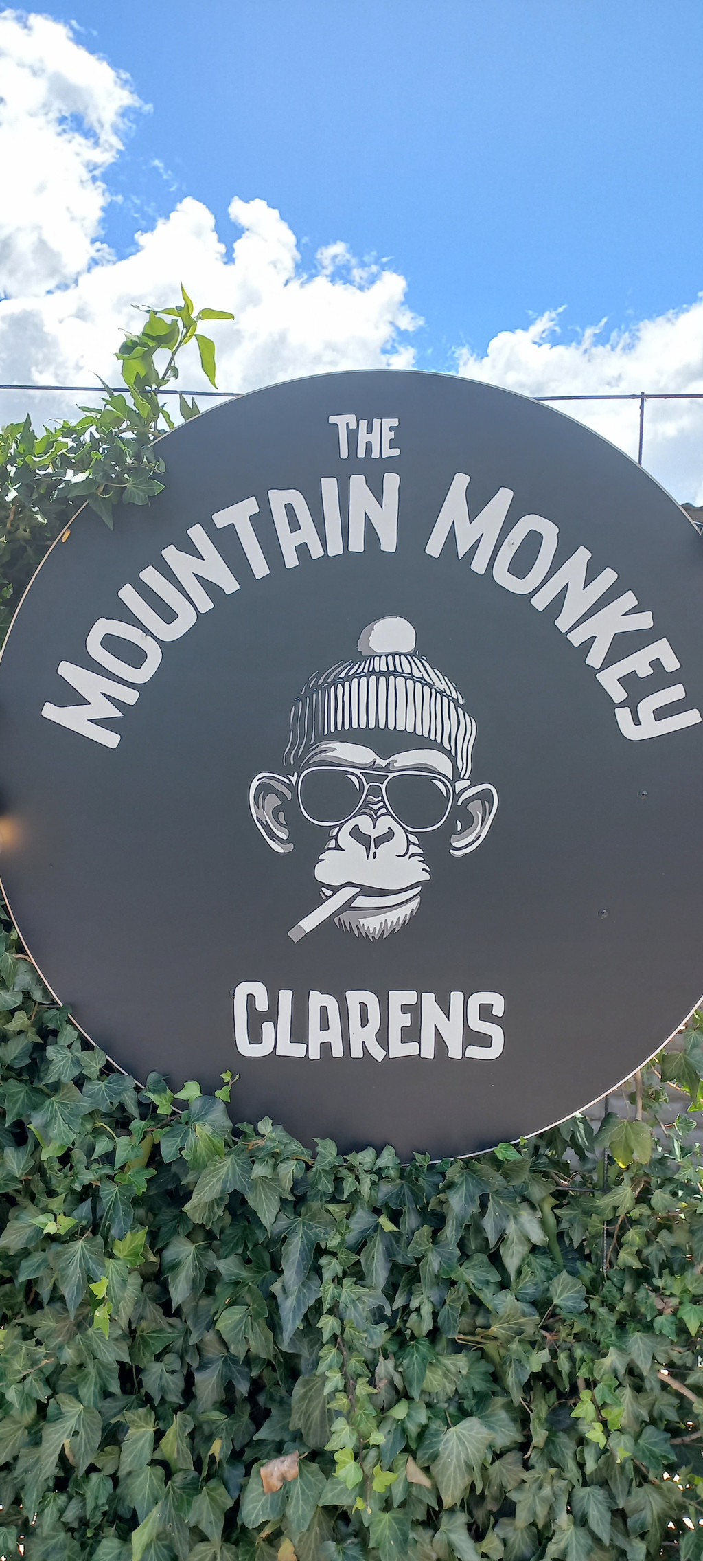 Image of The Mountain Monkey Clarens on Seeker