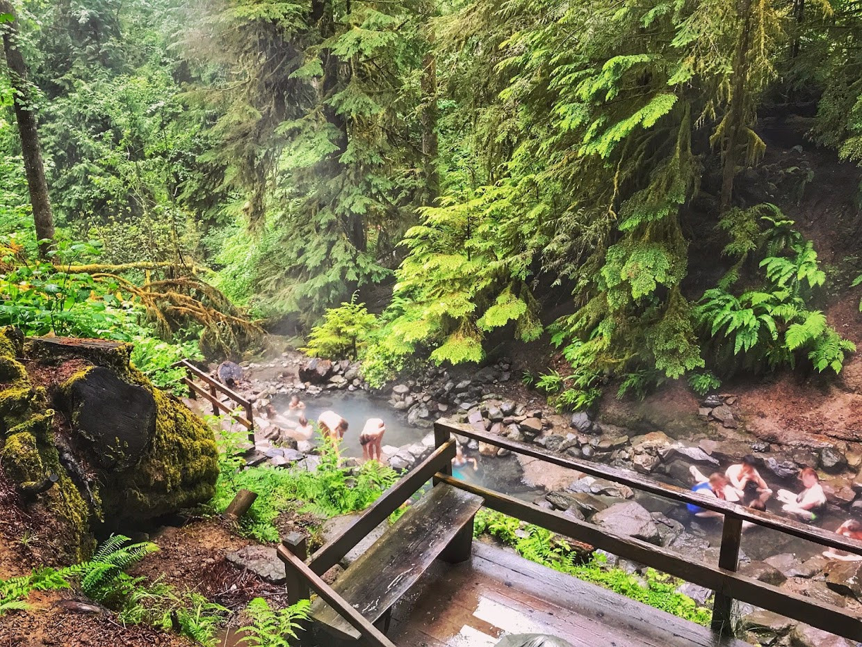 Terwilliger Hot Springs (Map, Images and Tips) Seeker