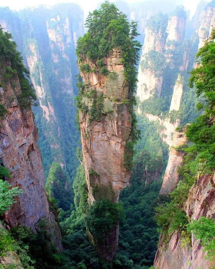 Image of Tianzi Mountain on Seeker