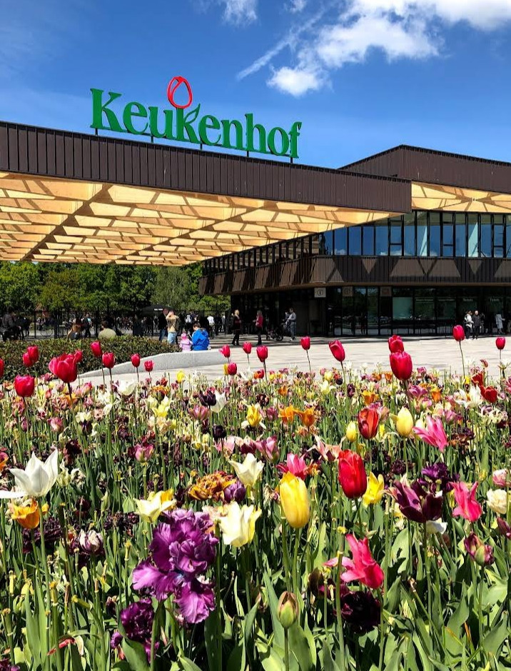 Image of Keukenhof on Seeker