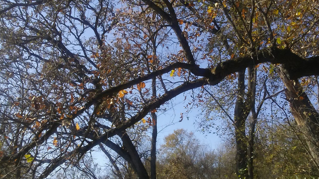 Image of Blackhawk Springs Forest Preserve on Seeker