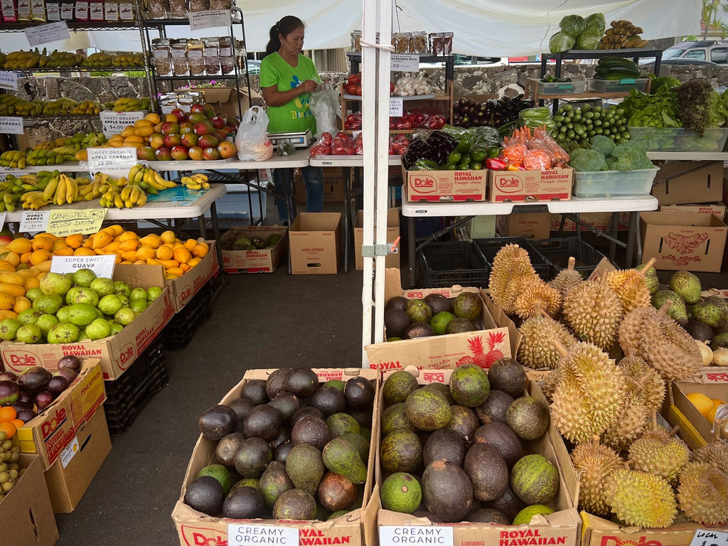 Ultimate Guide to Things to Do in Kona (with Map and Images) Seeker