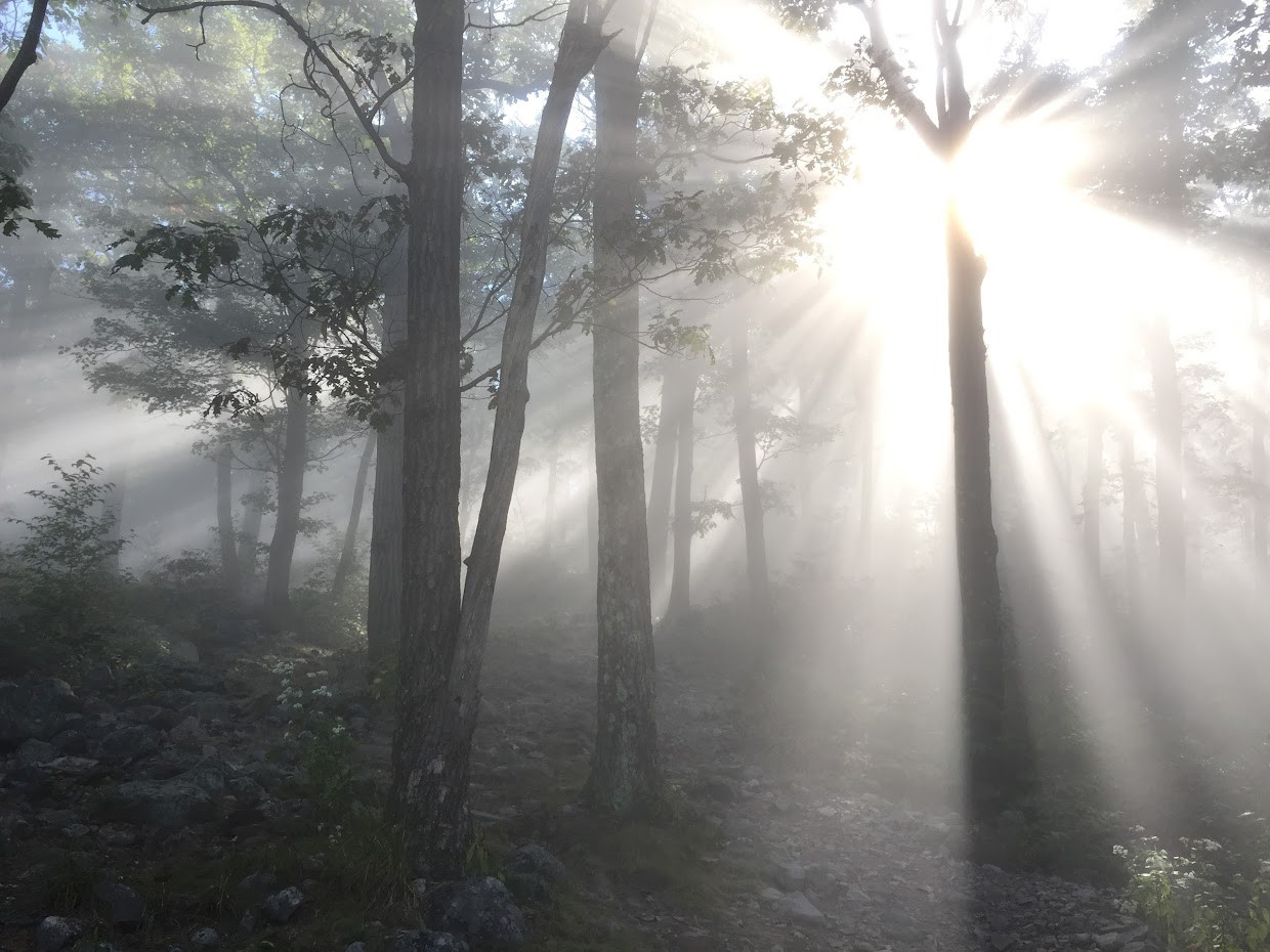 Mount Tammany (Map, Images and Tips) Seeker