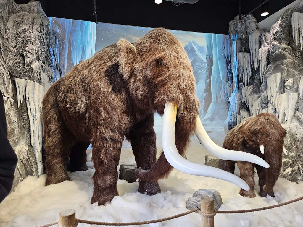 Image of Ice Age Creamery on Seeker