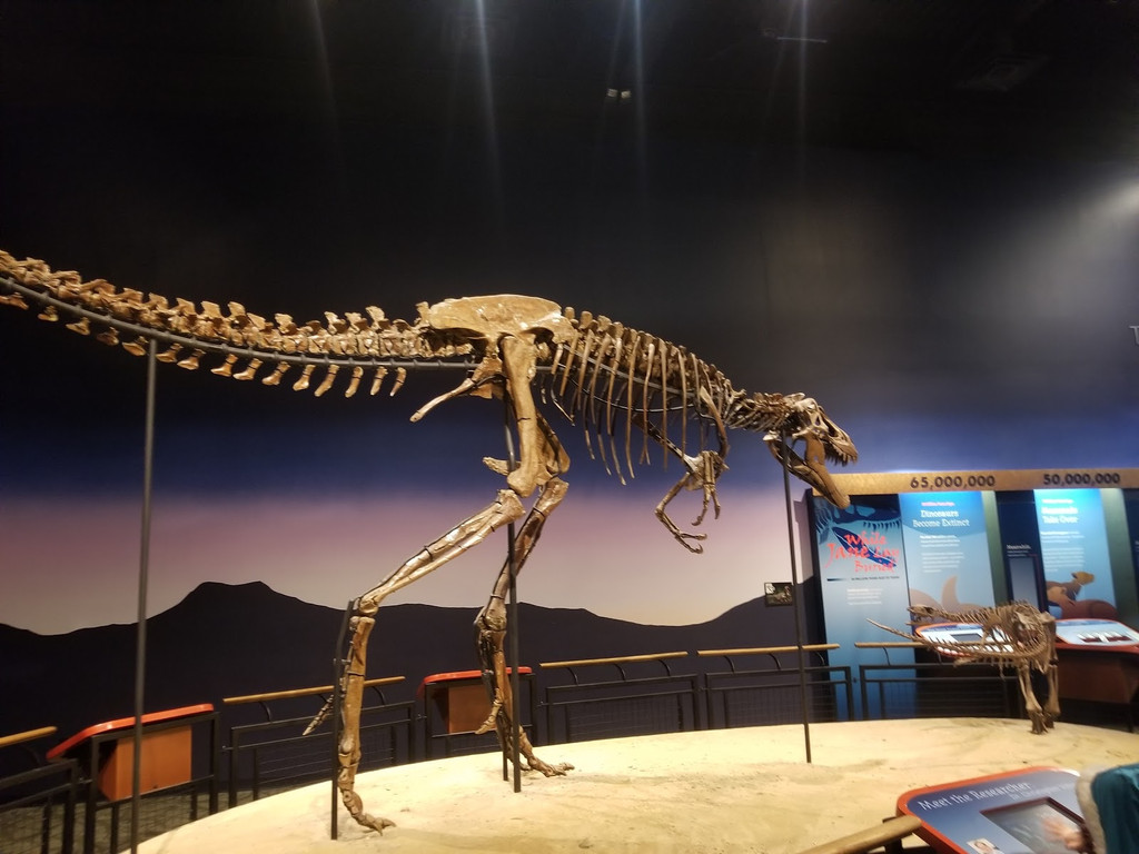 Image of Burpee Museum of Natural History on Seeker