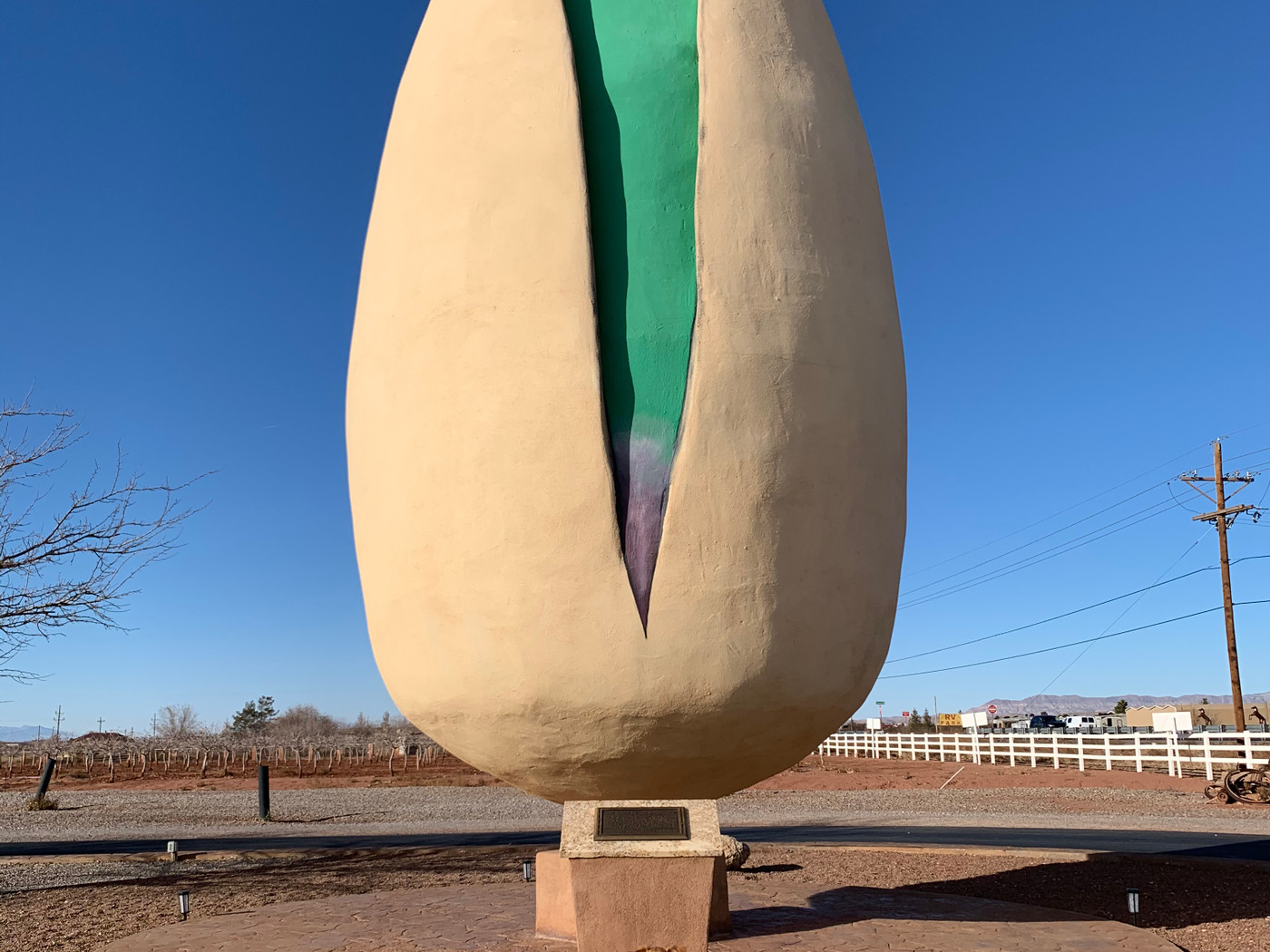 McGinn's PistachioLandWorld's Largest Pistachio Seeker