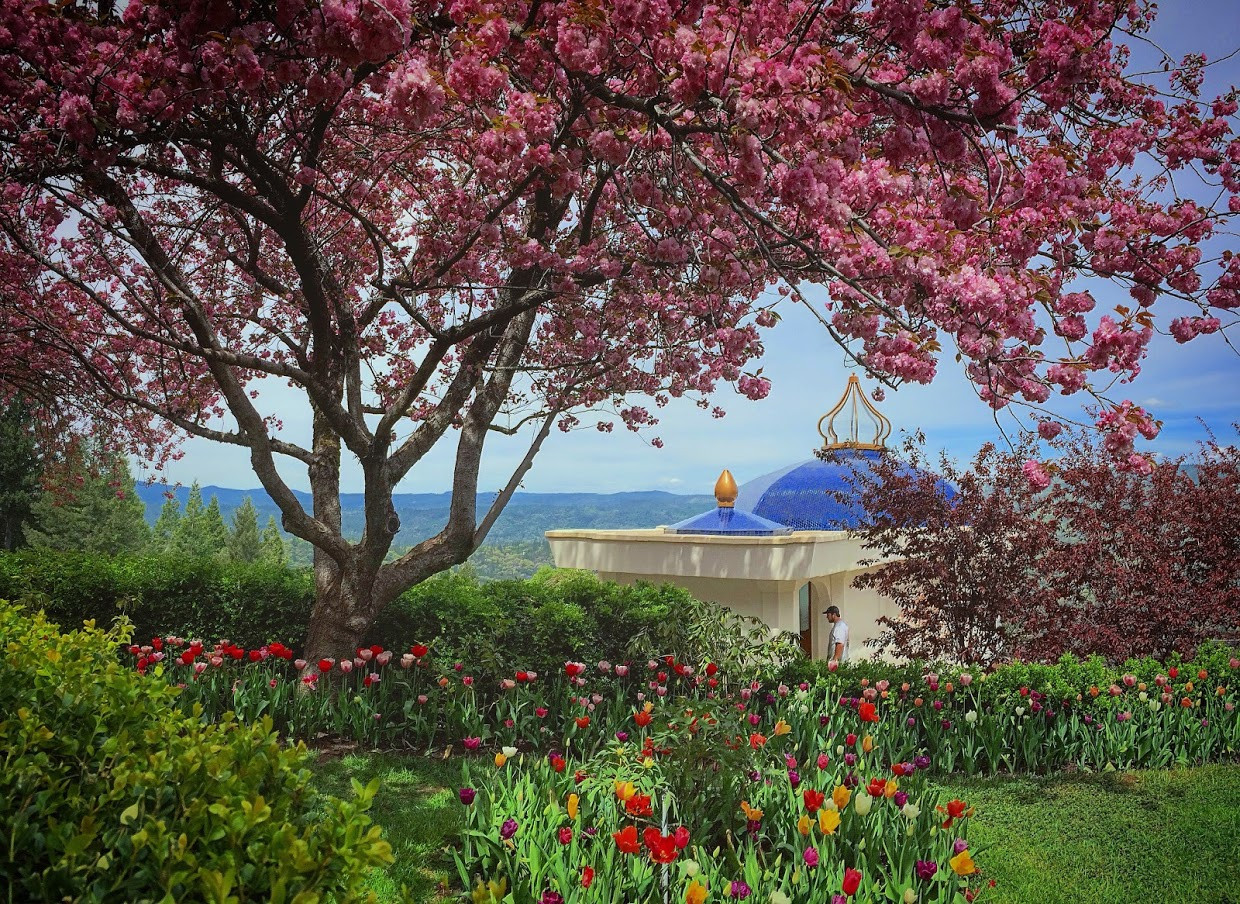 Crystal Hermitage Gardens (Map, Images and Tips) Seeker