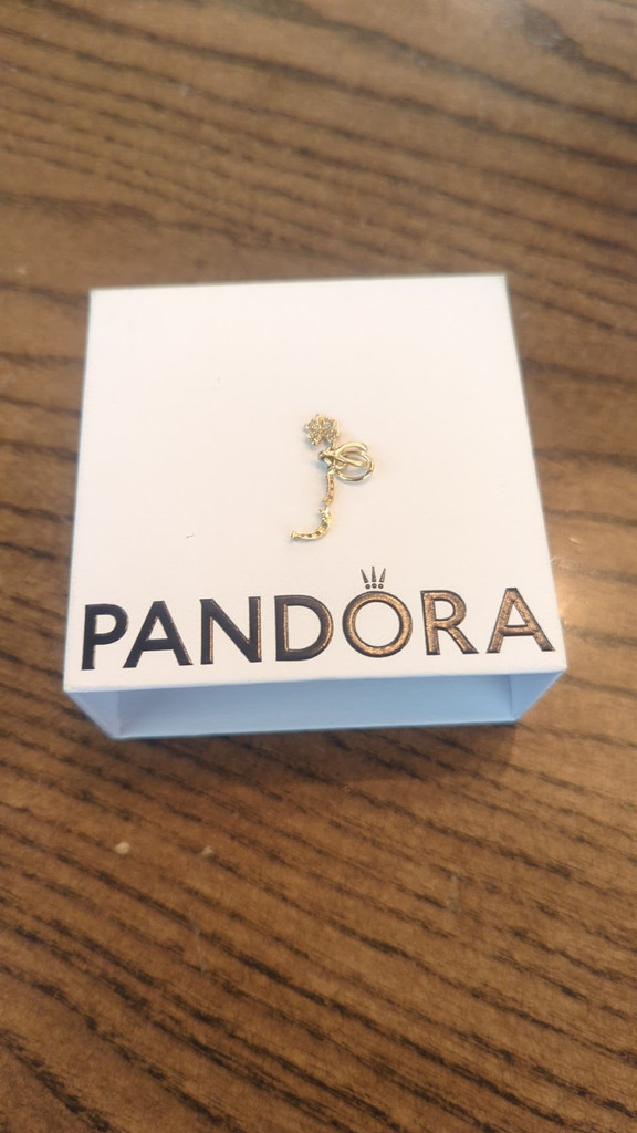 Image of Pandora Jewelry on Seeker