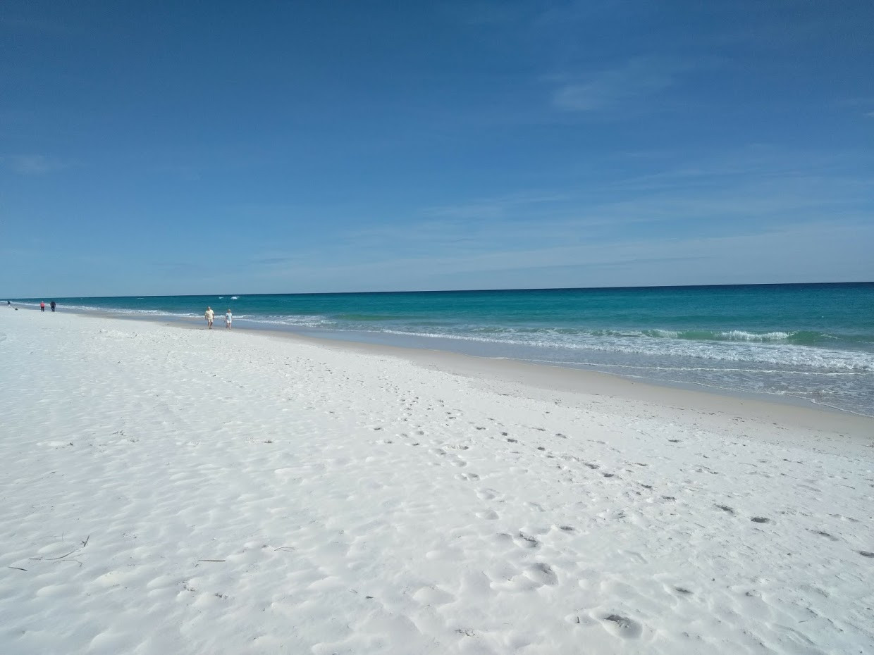 Gulf Islands National Seashore Seeker