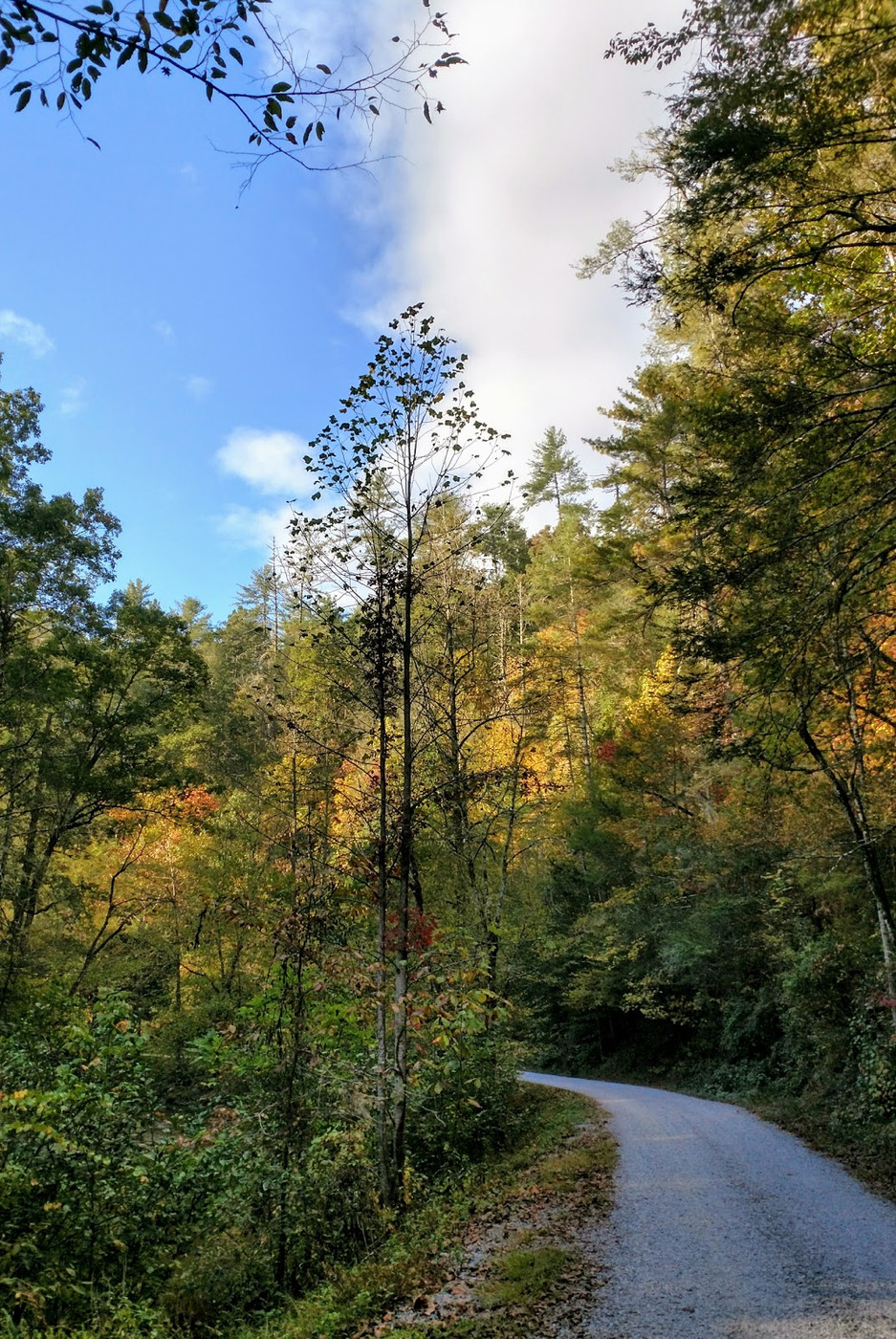 Abrams Creek Campground (Map, Images and Tips) Seeker