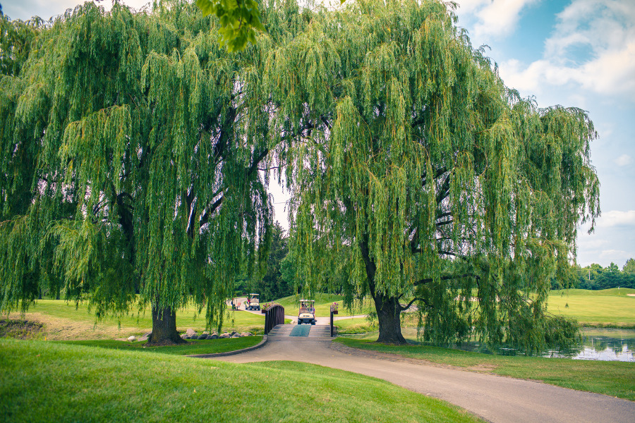 Image of Aldeen Golf Club on Seeker