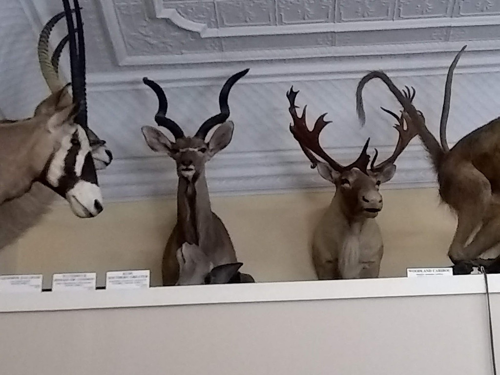 Image of Tillamook County Pioneer Museum on Seeker