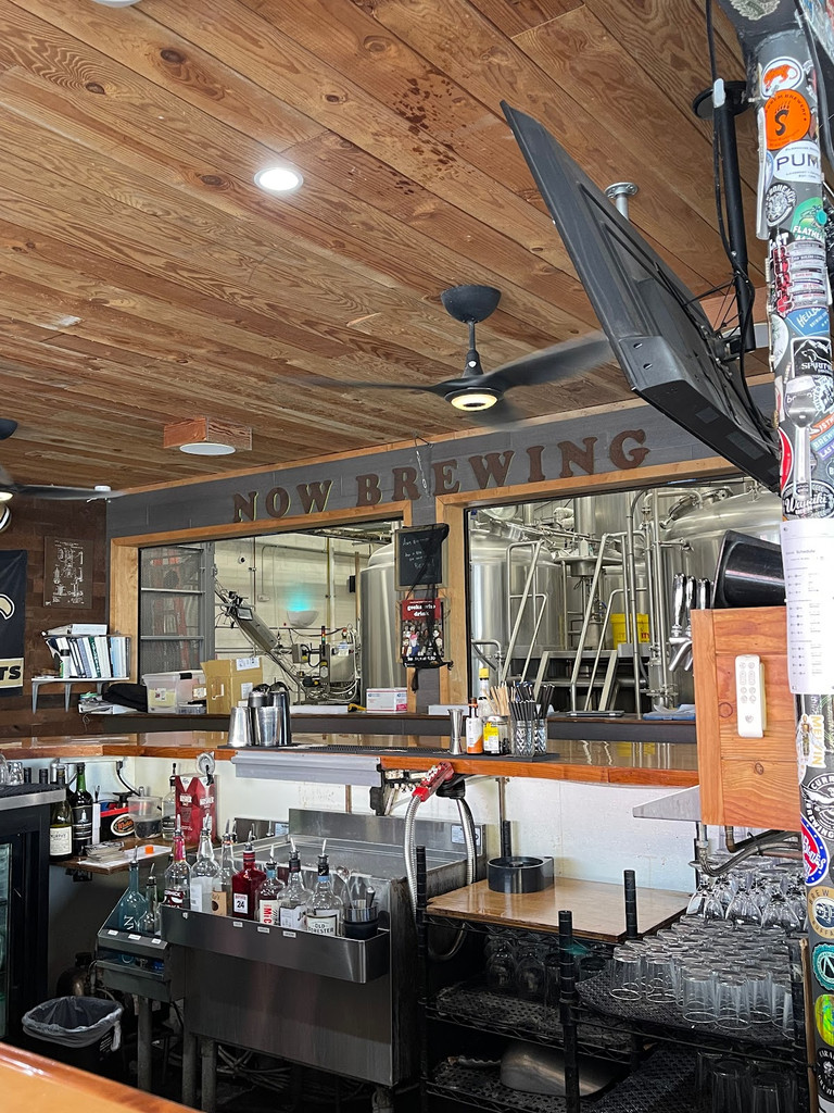 Wagging Tails and Cold Ales The Best Dog Friendly Breweries in Every