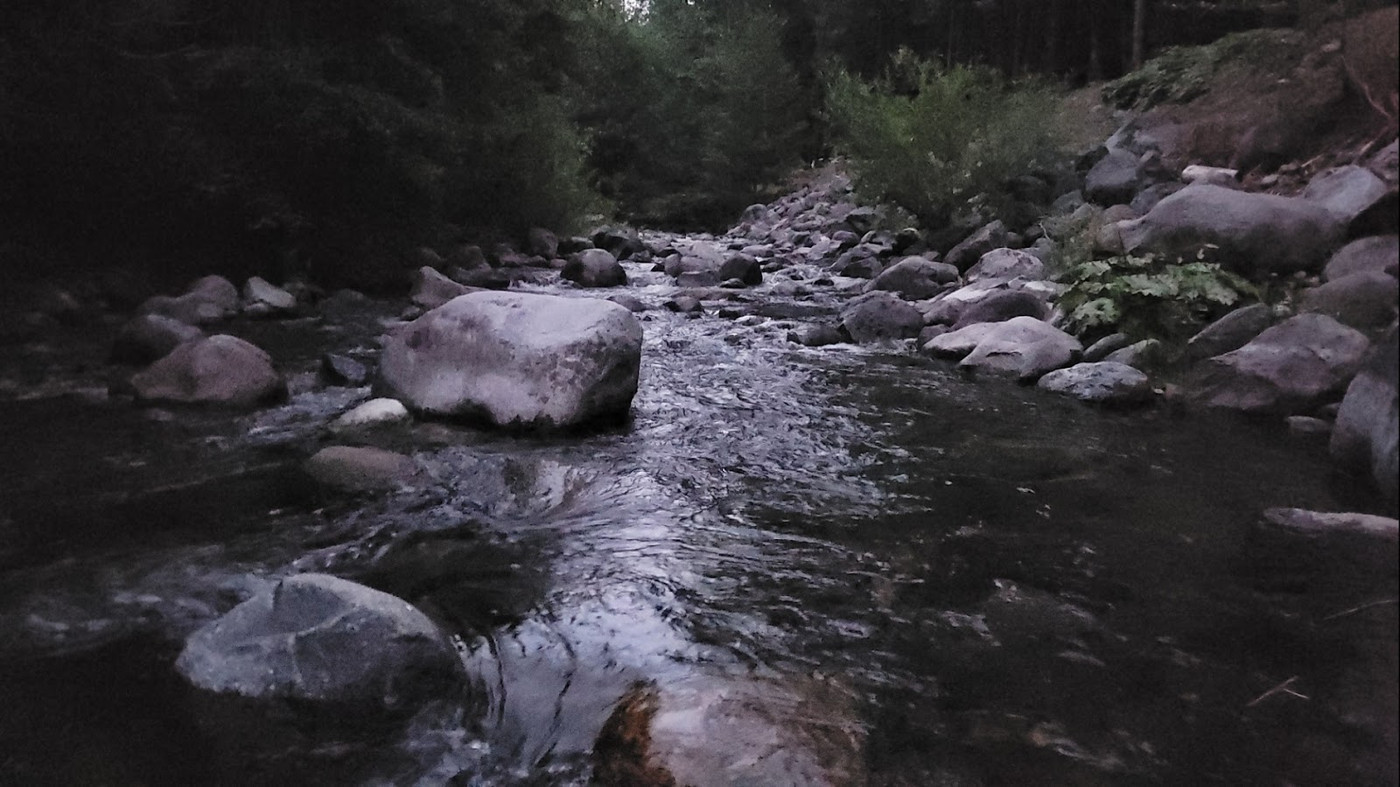 Wild plum campground map images and tips seeker