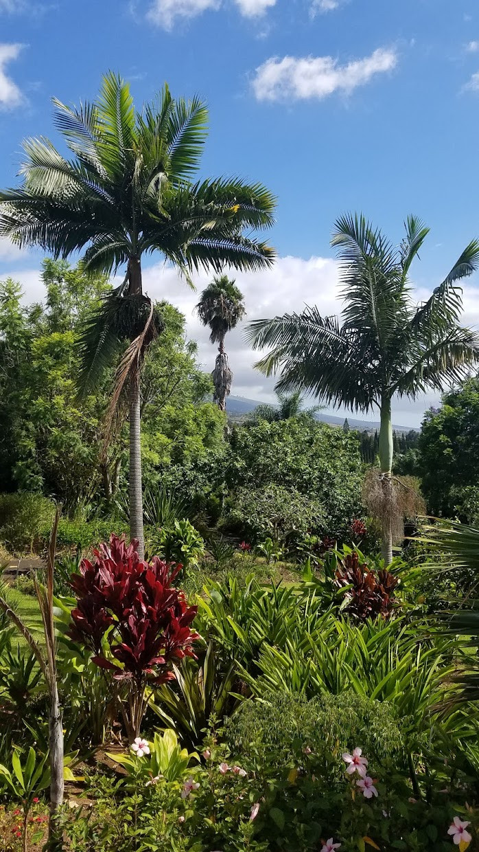 Kula (Map, Images and Things to do) Seeker