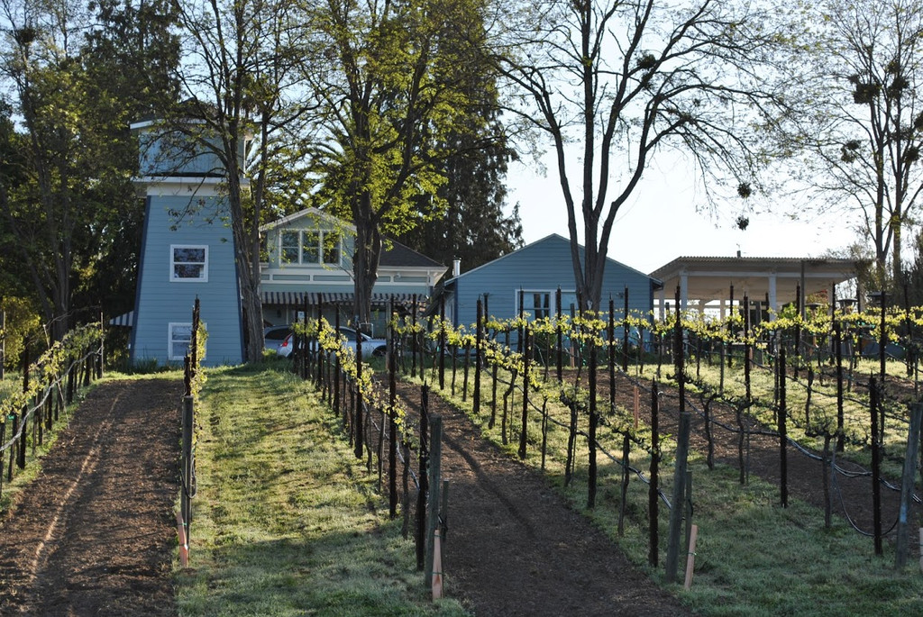 Best small batch wineries in Sonoma County (with Map and Images) | Seeker