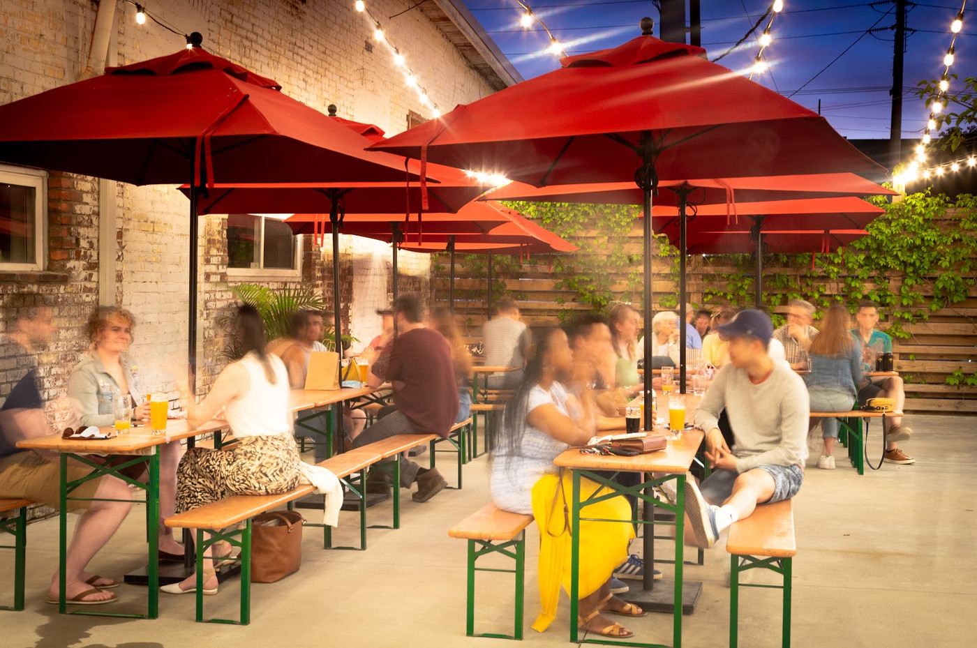 Bearded Iris Brewing Map Images And Tips Seeker bearded-iris-brewing-map-images-and-tips-seeker