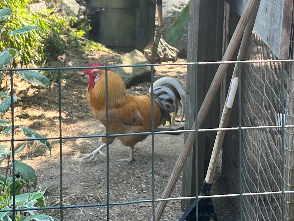 Wildlife sanctuaries in Massachusetts (with Map and Images) Seeker