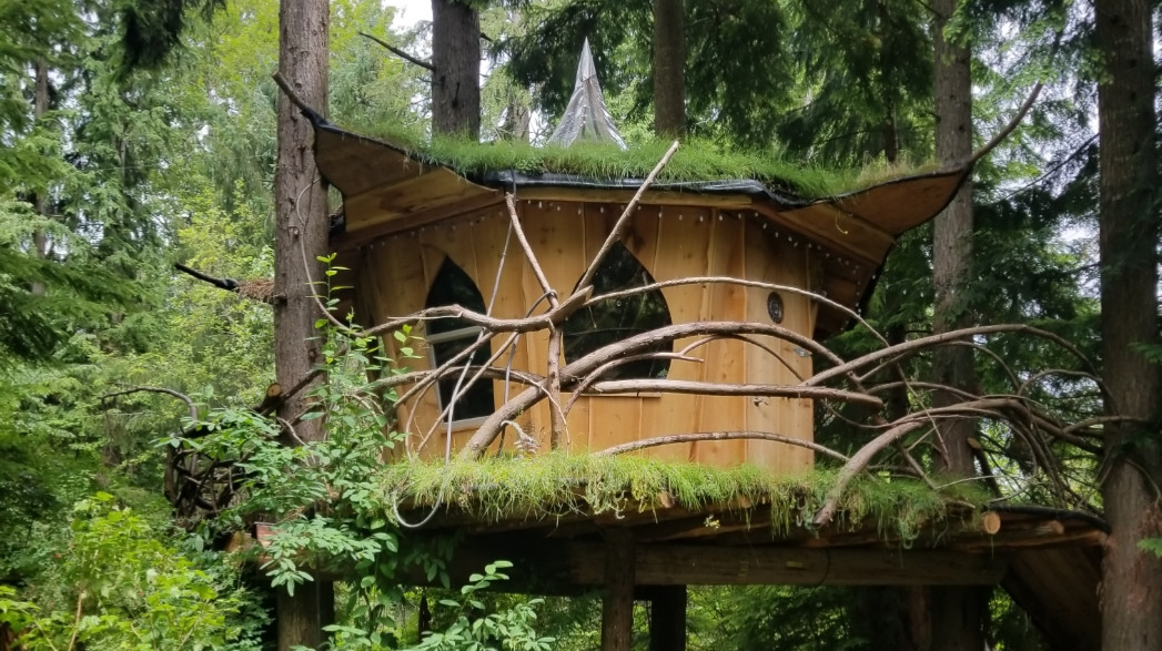 Mountain View's Tree House Joint Seeker