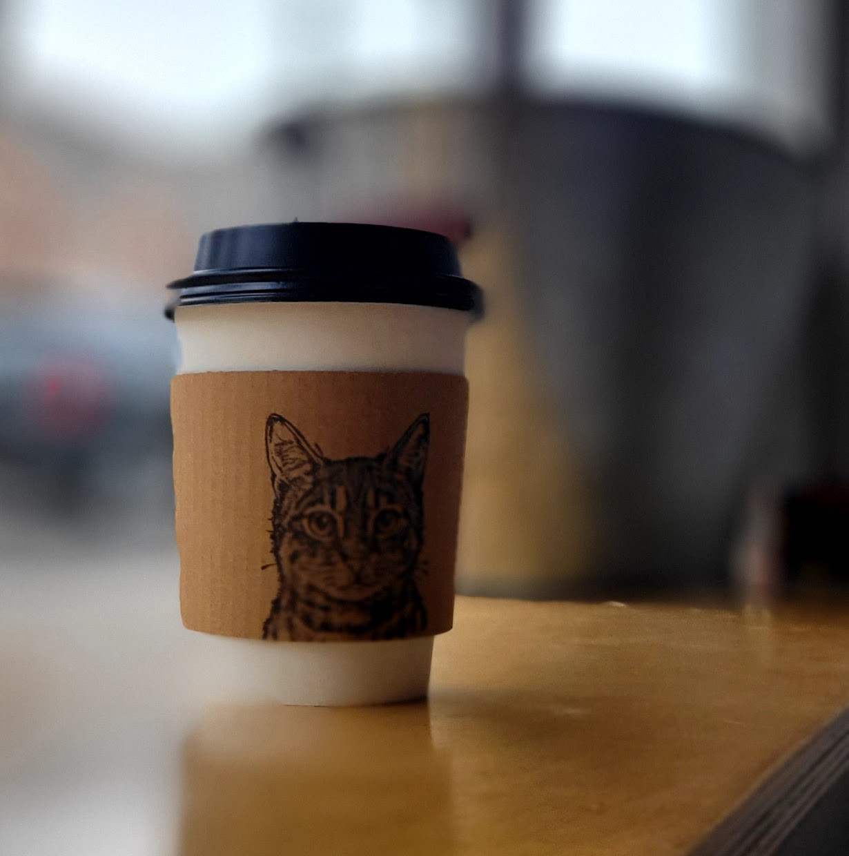 Whiskers Cat Cafe & Coffeehouse (Map, Images and Tips) Seeker