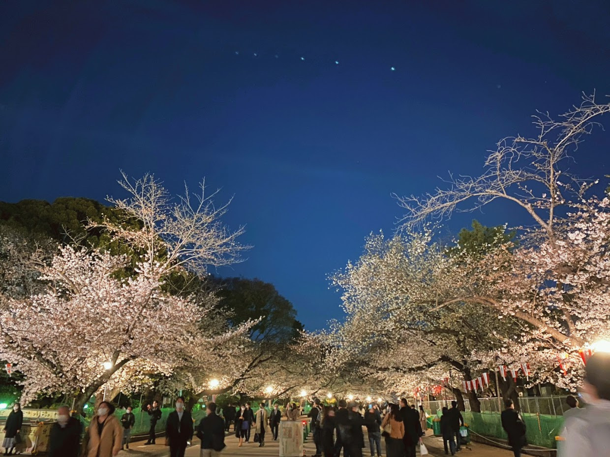 Ueno-Koen (Map, Images and Tips) | Seeker