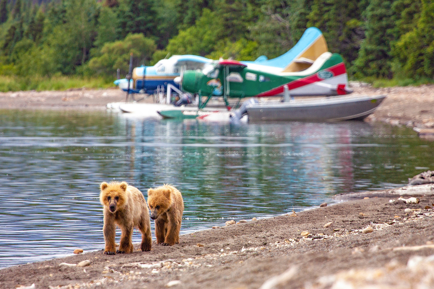 Katmai National Park and Preserve (Map, Images and Tips) Seeker
