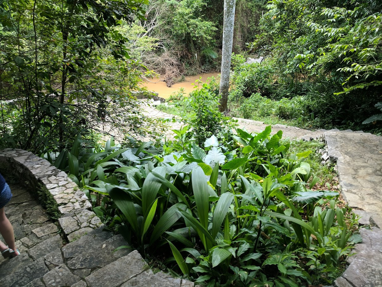 Parque Nacional La Güira (Map, Images and Tips) Seeker